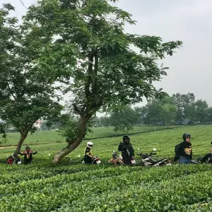 Explore Best Selling Vietnam Motorbike Tour to Sapa via Mu Cang Chai from Hanoi for 6 days with DNQ Travel and discover unforgettable experiences - Photo 4