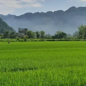 Explore Venturing Vietnam Motorbike Tour on Ho Chi Minh Trail via Central Highlands for 15 days with DNQ Travel and discover unforgettable experiences - Photo 9