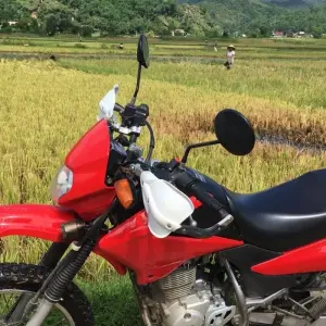 Explore Top Gear Vietnam Motorbike Tour from Hanoi to Saigon on Chi Minh Trail for 12 days with DNQ Travel and discover unforgettable experiences - Photo 11