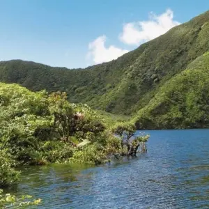 Explore Nature experience Dominica for 7 days with DERTOUR and discover unforgettable experiences - Photo 4