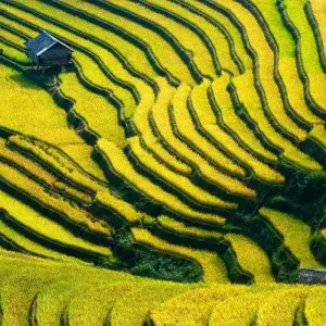 Explore Vietnam Northwest Adventure Tour to Mai Chau, Sapa, Dien Bien Phu, Halong Bay for 12 days with DNQ Travel and discover unforgettable experiences - Photo 6