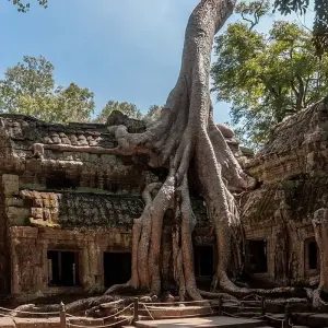 Explore Cambodia Family Holiday from Phnom Penh to Siemreap, Angkor Wat for 5 days with DNQ Travel and discover unforgettable experiences - Photo 2