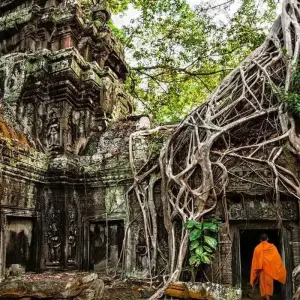 Explore Cambodia Family Holiday from Phnom Penh to Siemreap, Angkor Wat for 5 days with DNQ Travel and discover unforgettable experiences - Photo 4