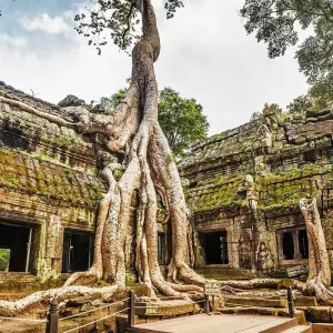 Explore Cambodia Discovery Sightseeing Tour to Angkor Wat, Angkor Thom, Ta Prohm, Tonle Sap Lake for 4 days with DNQ Travel and discover unforgettable experiences - Photo 5