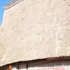 Explore Best Selling Vietnam Motorcycle Tour to Central Highlands and Southern Coast with Da Lat, Nha Trang, Phan Thiet, Vung Tau for 7 days with DNQ Travel and discover unforgettable experiences - Photo 4