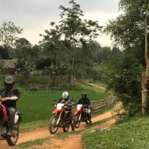 Explore Best Selling Saigon Motorbike Tour to Mekong Delta, Dalat, Nha Trang, Mui Ne and Vung Tau for 10 days with DNQ Travel and discover unforgettable experiences - Photo 9