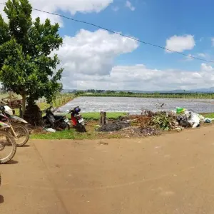 Explore Best Selling Vietnam Motorcycle Tour to Central Highlands and Southern Coast with Da Lat, Nha Trang, Phan Thiet, Vung Tau for 7 days with DNQ Travel and discover unforgettable experiences - Photo 9