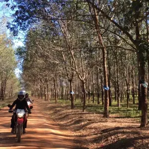 Explore Best Selling Saigon Motorbike Tour to Mekong Delta, Dalat, Nha Trang, Mui Ne and Vung Tau for 10 days with DNQ Travel and discover unforgettable experiences - Photo 10