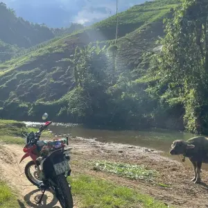 Explore Amazing Vietnam Motorcycle Tour To Thac Ba And Ba Be Lakes for 3 days with DNQ Travel and discover unforgettable experiences - Photo 4