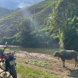 Explore Spectacular Vietnam Northern Motorbike Tour To Ha Giang, Ba Be Lake and Bao Lac in Cao Bang for 5 days with DNQ Travel and discover unforgettable experiences - Photo 6