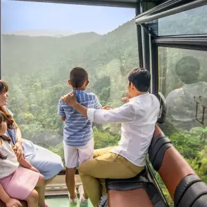 Explore Wellness Holiday to Yen Tu Legacy, Halong, Sapa, Hoi An, Mekong and Phu Quoc for 14 days with DNQ Travel and discover unforgettable experiences - Photo 9