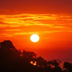 Explore Manuel Antonio National Park for 3 days with DERTOUR and discover unforgettable experiences - Photo 7