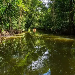 Explore Best of Costa Rica for 12 days with DERTOUR and discover unforgettable experiences - Photo 8