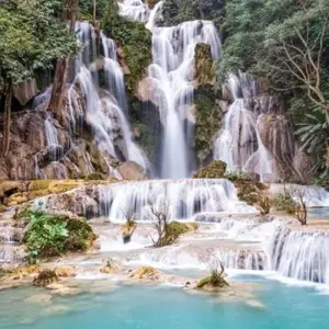 Explore Laos Family Holiday from Vientiane to Luang NamTha, Muangsing, Luangprabang for 11 days with DNQ Travel and discover unforgettable experiences - Photo 9
