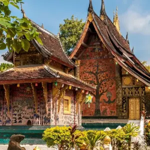 Explore Laos Family Holiday from Vientiane to Luang NamTha, Muangsing, Luangprabang for 11 days with DNQ Travel and discover unforgettable experiences - Photo 11