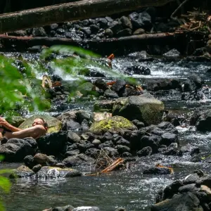 Explore Pura Action - Experience Costa Rica Actively for 7 days with DERTOUR and discover unforgettable experiences - Photo 5