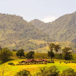 Explore Pura Action - Experience Costa Rica Actively for 7 days with DERTOUR and discover unforgettable experiences - Photo 6