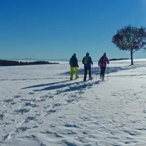 Explore The northern lights of the Yukon for 4 days with DERTOUR and discover unforgettable experiences - Photo 8