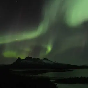 Explore The northern lights of the Yukon for 4 days with DERTOUR and discover unforgettable experiences - Photo 9