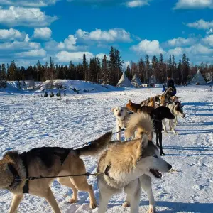 Explore Aurora Village - Northern Lights for 4 days with DERTOUR and discover unforgettable experiences - Photo 6