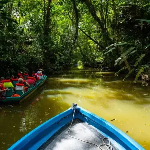 Explore Tortuguero jungle experience for 3 days with DERTOUR and discover unforgettable experiences - Photo 2