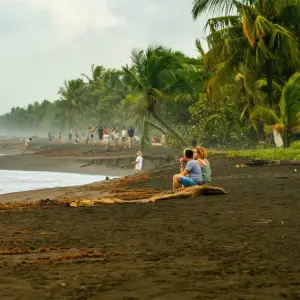 Explore Tortuguero jungle experience for 3 days with DERTOUR and discover unforgettable experiences - Photo 5