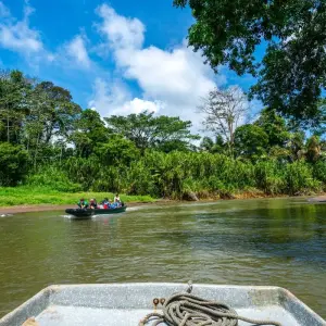 Explore Tortuguero jungle experience for 3 days with DERTOUR and discover unforgettable experiences - Photo 6