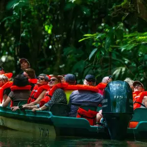 Explore Tortuguero jungle experience for 3 days with DERTOUR and discover unforgettable experiences - Photo 9