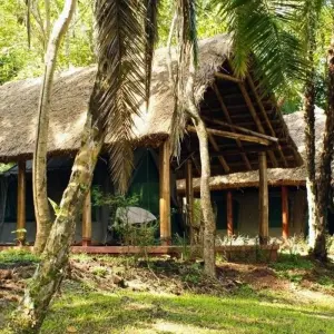 Explore In the green heart of Africa for 9 days with DIAMIR Erlebnisreisen and discover unforgettable experiences - Photo 2