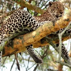 Explore In the green heart of Africa for 9 days with DIAMIR Erlebnisreisen and discover unforgettable experiences - Photo 3