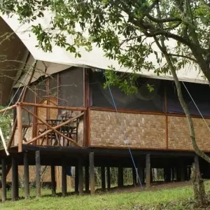 Explore In the green heart of Africa for 9 days with DIAMIR Erlebnisreisen and discover unforgettable experiences - Photo 4