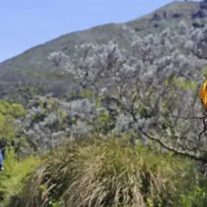 Explore Mount Meru, Kilimanjaro, Safari, Zanzibar for 24 days with DIAMIR Erlebnisreisen and discover unforgettable experiences - Photo 3