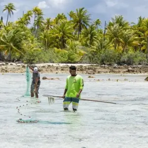Explore Rangiroa Dream - Cruise in Tuamotu Archipelago for 5 days with DIAMIR Erlebnisreisen and discover unforgettable experiences - Photo 4