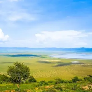 Explore Kilimanjaro, Safari and Zanzibar for 19 days with DIAMIR Erlebnisreisen and discover unforgettable experiences - Photo 8