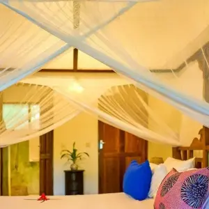 Explore Mount Meru, Kilimanjaro, Safari, Zanzibar for 24 days with DIAMIR Erlebnisreisen and discover unforgettable experiences - Photo 6