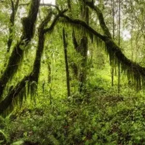 Explore Mount Meru, Kilimanjaro, Safari, Zanzibar for 24 days with DIAMIR Erlebnisreisen and discover unforgettable experiences - Photo 11