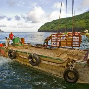 Explore Aranui 5 - With the Mail Ship Through the South Seas for 12 days with DIAMIR Erlebnisreisen and discover unforgettable experiences - Photo 4