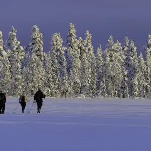 Explore Polar Adventures in Lapland's winter wonderland for 8 days with DIAMIR Erlebnisreisen and discover unforgettable experiences - Photo 4