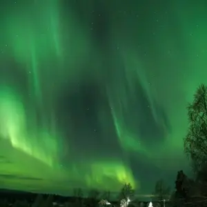 Explore Polar Adventures in Lapland's winter wonderland for 8 days with DIAMIR Erlebnisreisen and discover unforgettable experiences - Photo 5