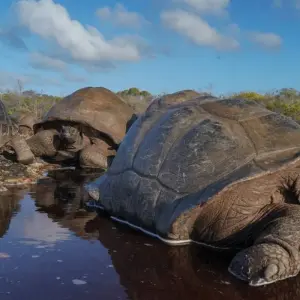 Explore Dream Islands in The Indian Ocean for 11 days with DIAMIR Erlebnisreisen and discover unforgettable experiences - Photo 6