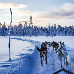 Explore Polar Adventures in Lapland's winter wonderland for 8 days with DIAMIR Erlebnisreisen and discover unforgettable experiences - Photo 6