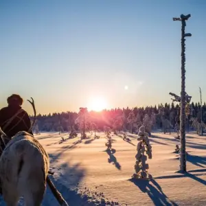 Explore Polar Adventures in Lapland's winter wonderland for 8 days with DIAMIR Erlebnisreisen and discover unforgettable experiences - Photo 7