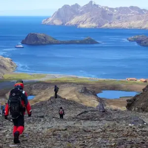 Explore Animal Paradises Falkland and South Georgia for 19 days with DIAMIR Erlebnisreisen and discover unforgettable experiences - Photo 3