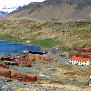 Explore Animal Paradises Falkland and South Georgia for 19 days with DIAMIR Erlebnisreisen and discover unforgettable experiences - Photo 7