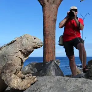 Explore Höhepunkte zwischen Machu Picchu und Galapagos for 19 days with DIAMIR Erlebnisreisen and discover unforgettable experiences - Photo 9