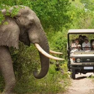 Explore South Africa in Detail for 21 days with DIAMIR Erlebnisreisen and discover unforgettable experiences - Photo 2