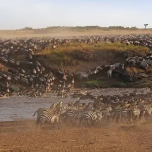 Explore Safari Dreams in Southern Kenya for 8 days with DIAMIR Erlebnisreisen and discover unforgettable experiences - Photo 4
