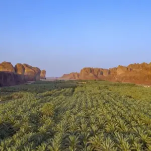 Explore Along the Incense Road through the Nabataean Empire for 9 days with DIAMIR Erlebnisreisen and discover unforgettable experiences - Photo 11