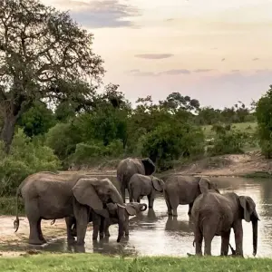 Explore South Africa in Detail for 21 days with DIAMIR Erlebnisreisen and discover unforgettable experiences - Photo 9