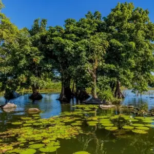 Explore Dancing on the Volcano for 13 days with DIAMIR Erlebnisreisen and discover unforgettable experiences - Photo 2